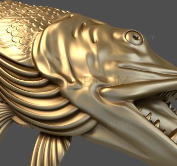 3D model Pike's head (STL)